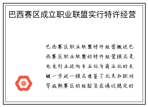 巴西赛区成立职业联盟实行特许经营